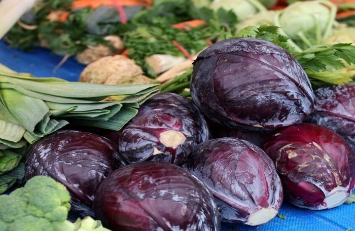 الطماطم.. درع صحي يحمي القلب ويقاوم السرطان ويعزز المناعة