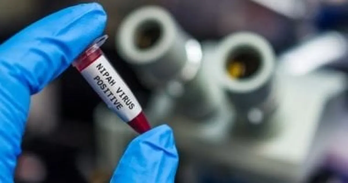 تحذيرات بريطانية للمسافرين: فيروس "نيباه" القاتل يهدد وجهات سياحية آسيوية