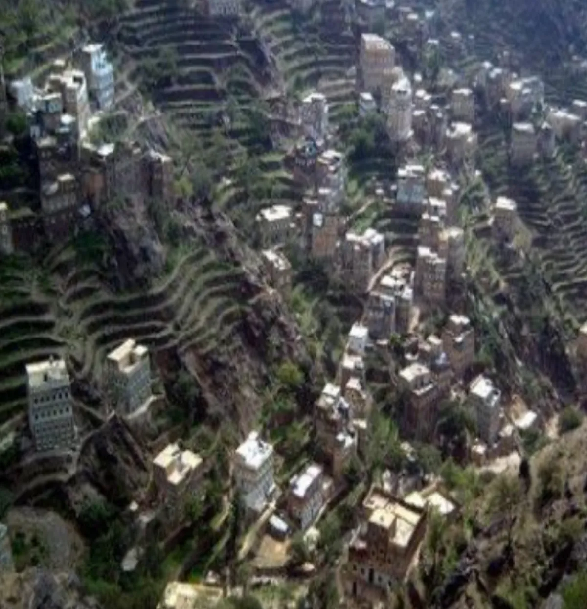 5 قتلى وجرحى من أسرة واحدة بإطلاق نار في ذمار