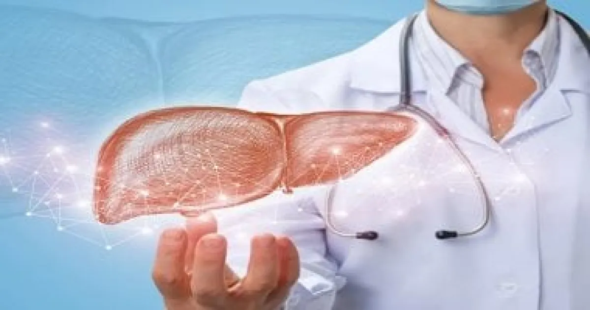 أسباب ارتفاع إنزيمات الكبد: دليلك الشامل لفهم المؤشرات والعلاج