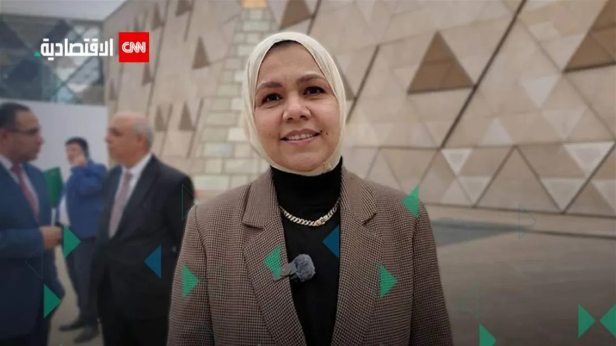 مصر تطور آليات ضريبية لتسهيل دمج الشركات الناشئة في الاقتصاد الرسمي