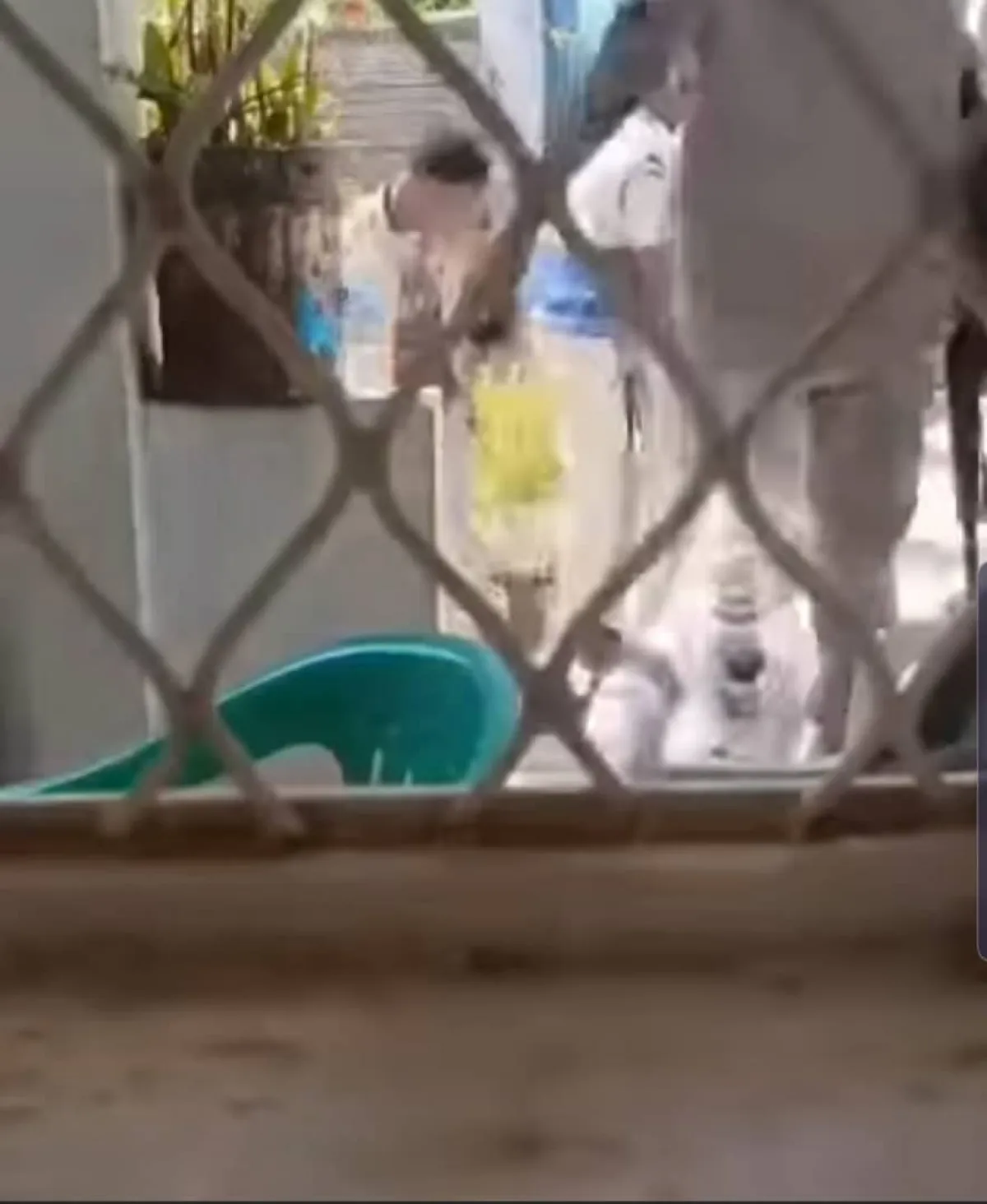 أرض الصومال .. اعتداء بالضرب والسحل على يمنية وزوجها السوري بسبب الإيجار