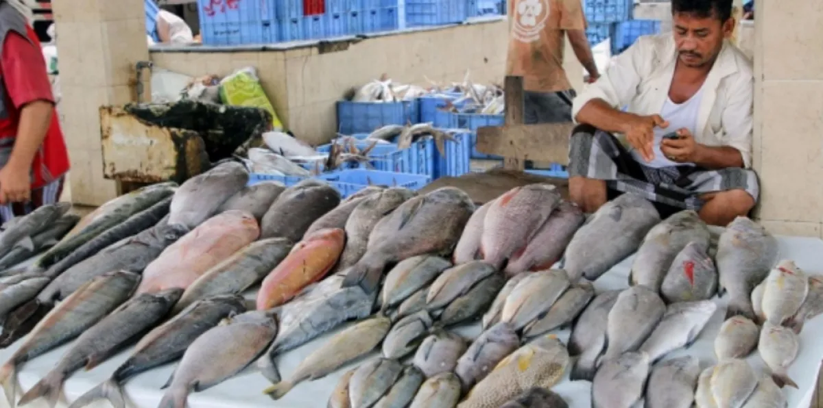منصات تدقيق تكشف نهبًا واسعًا للثروة السمكية اليمنية من قبل سفن أجنبية