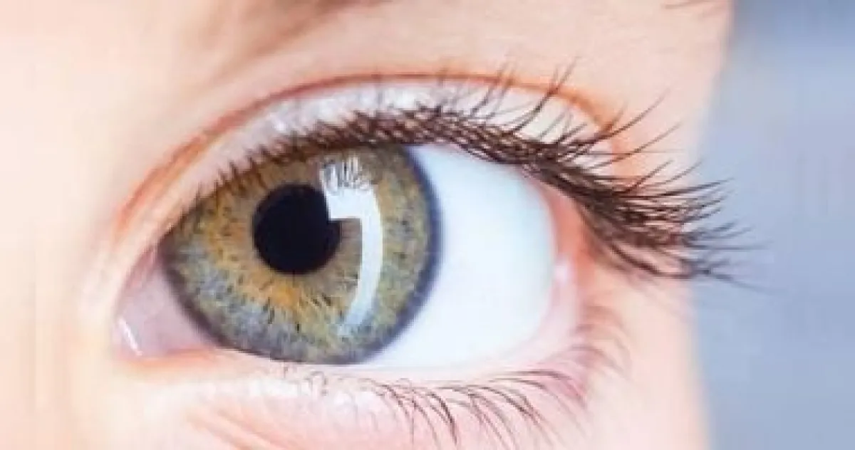 دليلك الشامل لصحة عينيك: نصائح عصرية من النظارات الشمسية إلى قاعدة 20-20-20