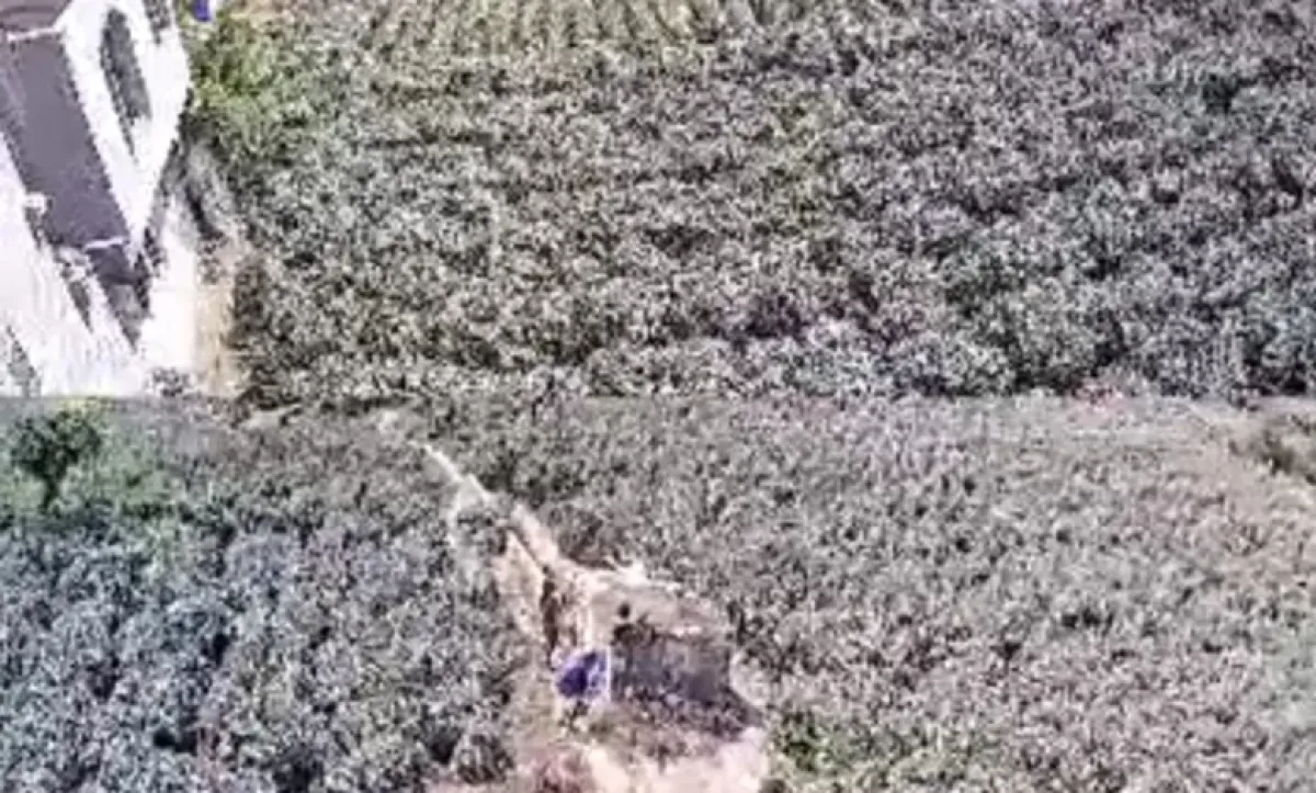 اقتحام مسلح لمنزل بمحافظة إب وإصابة مواطن يثير غضباً واسعاً