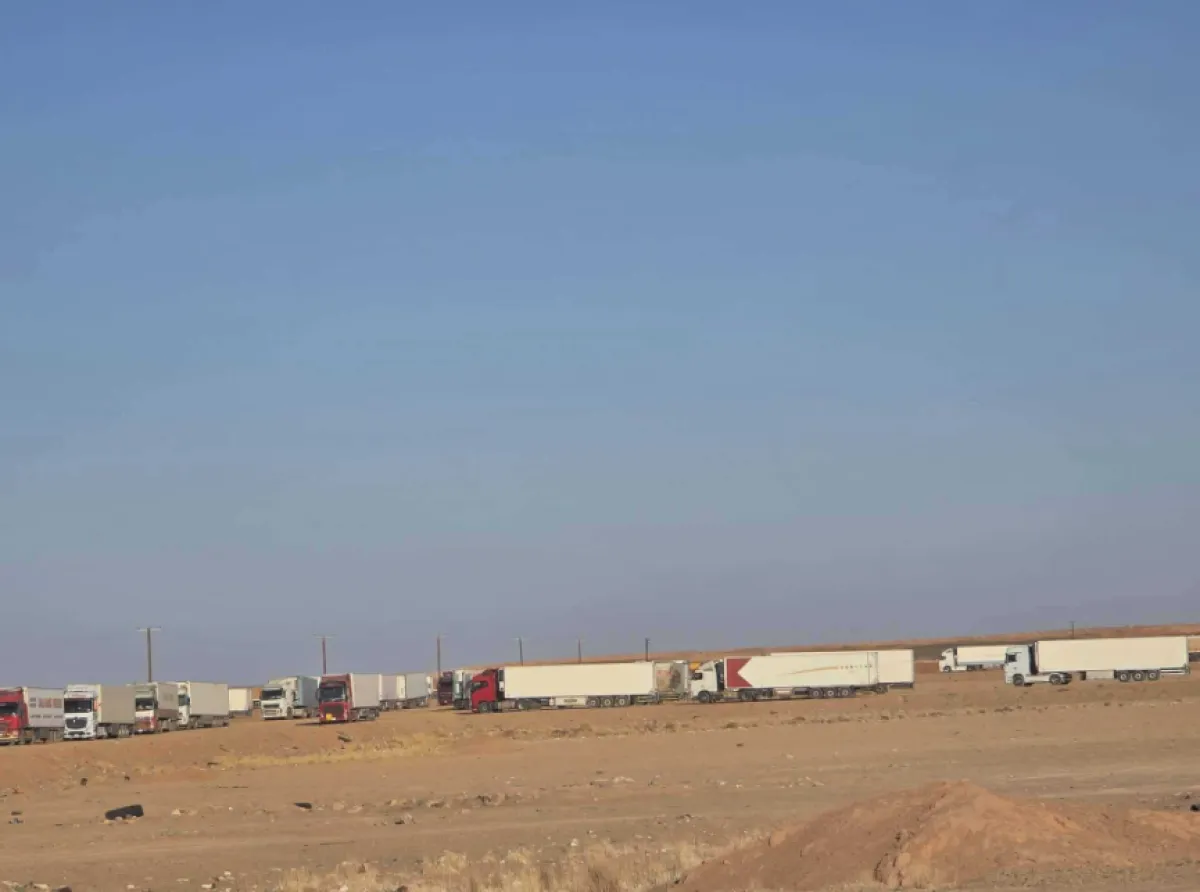 تكدس شاحنات نقل المانجو بمنفذ الوديعة يهدد بتلفها قبل دخولها السعودية