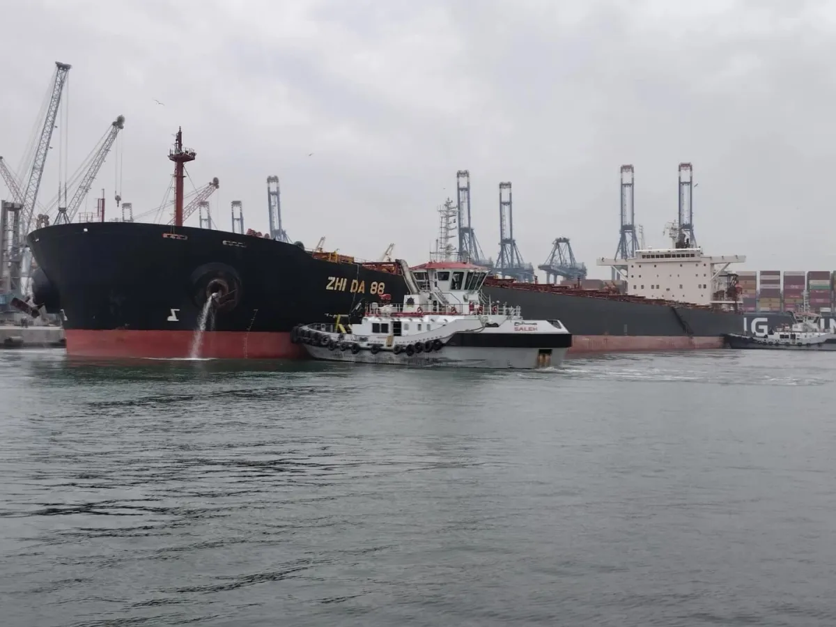 مصر تعزز مخزونها: وصول شحنة قمح روسية ضخمة إلى ميناء دمياط