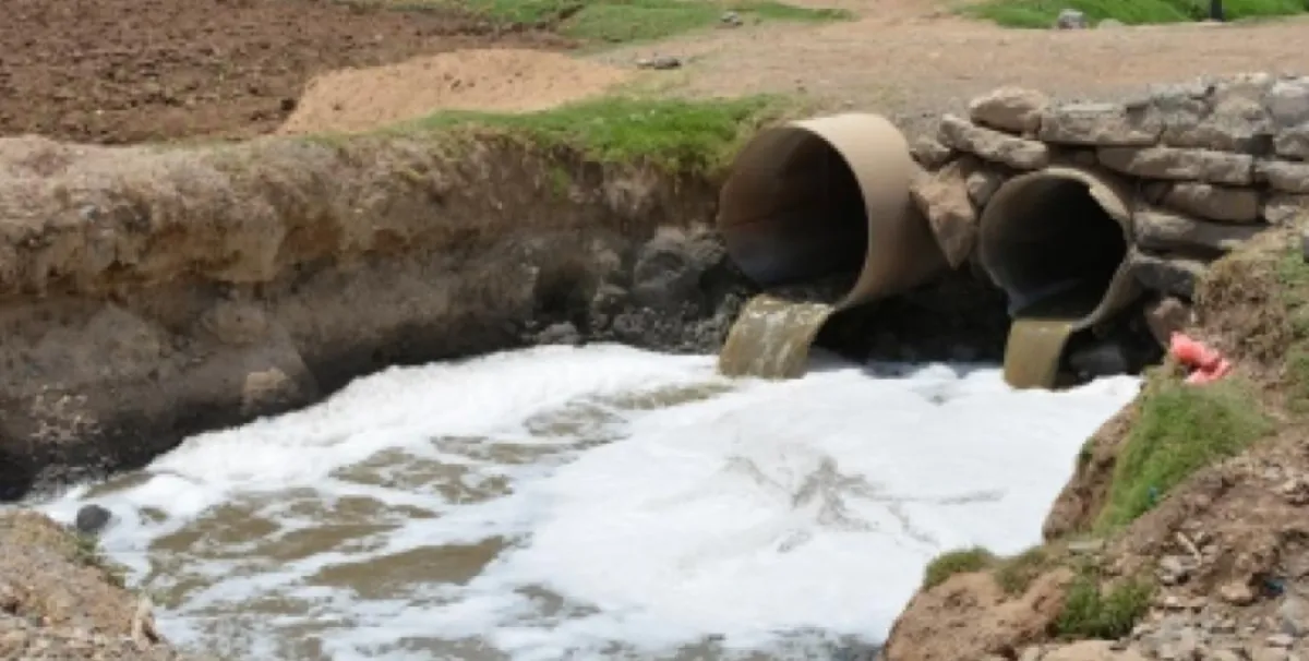 متحوث في إب يدير محطة تجميع صرف صحي ويبيع المجاري على مزارعي القات في السبرة