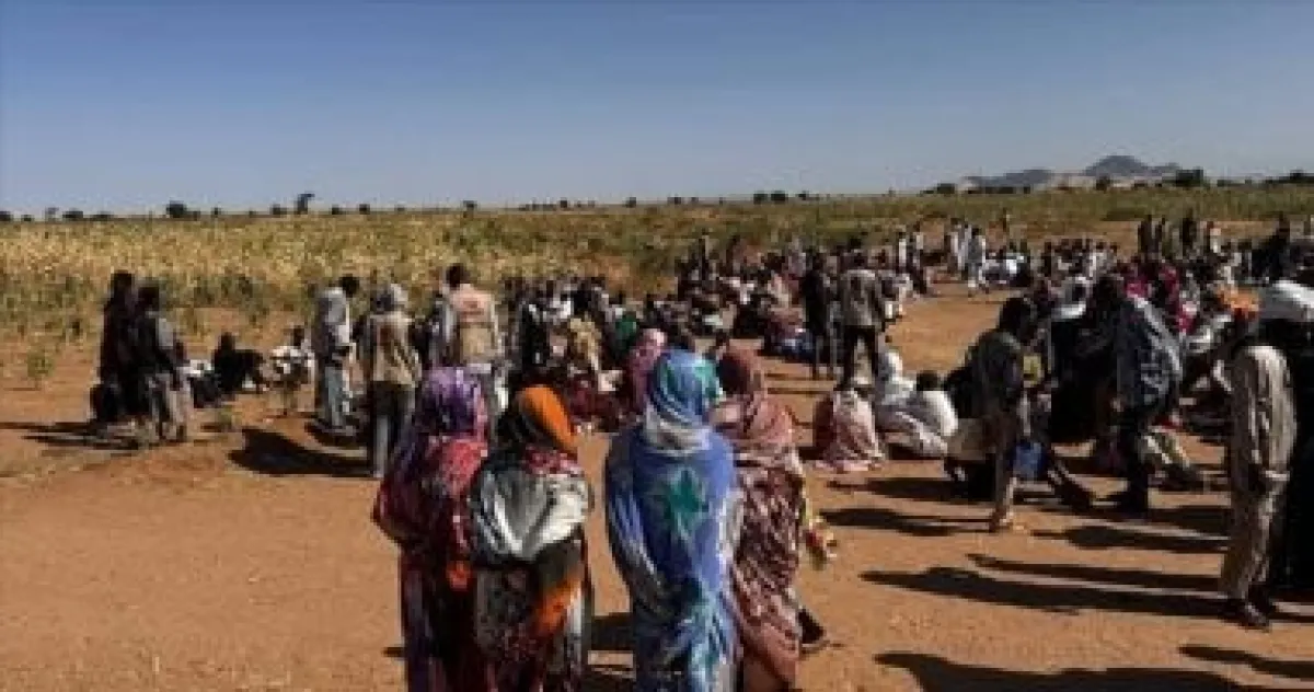 وزراء أوروبيون: عنف الدعم السريع بالفاشر يرقى إلى مستوى جرائم حرب