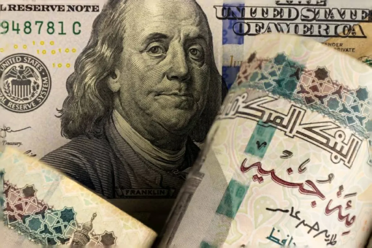 سعر الدولار يرتفع مقابل الجنيه المصري وسط نمو الاحتياطيات النقدية