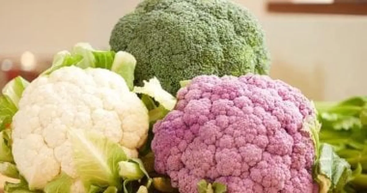 القرنبيط: نجم موائد رمضان الصحي.. فوائده وطرق تحضيره العصرية