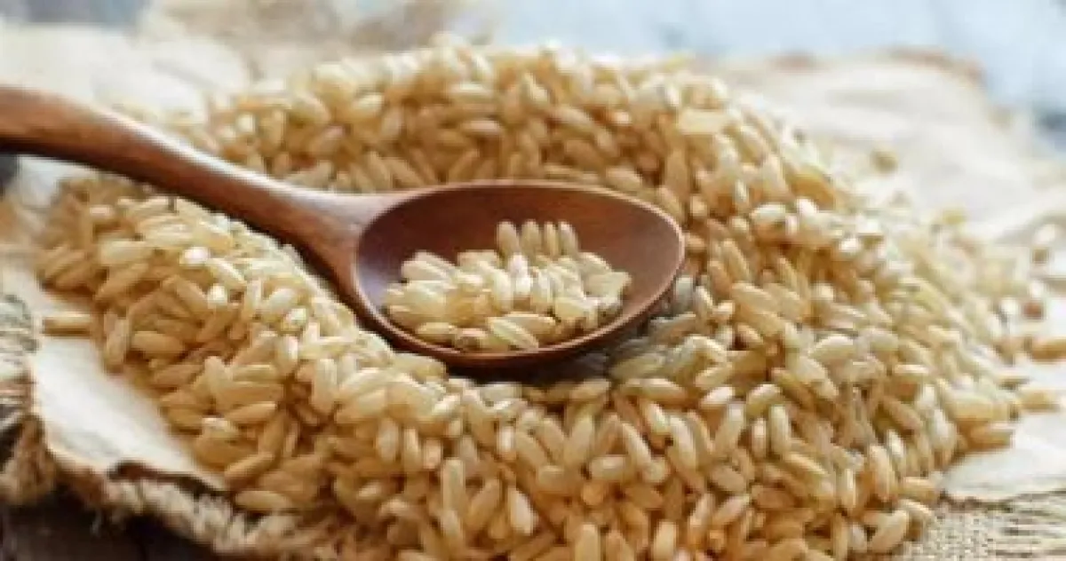 الأرز البني: سلاحك السري لفطور مليء بالطاقة وسكر دم مستقر