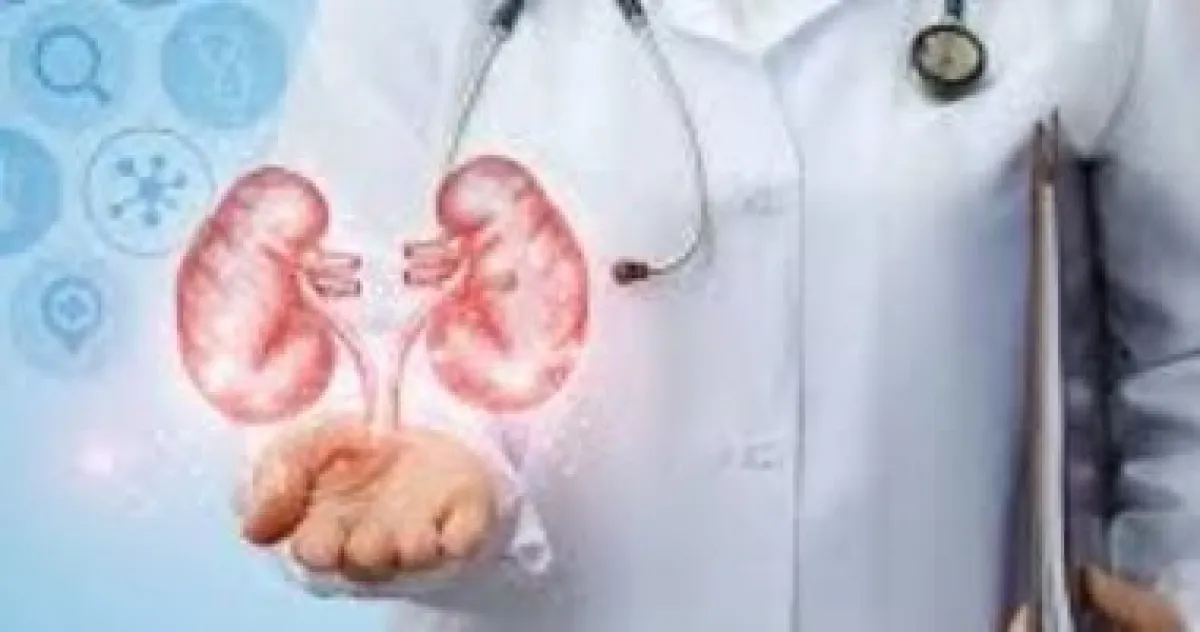 أمراض الكلى وتطعيمات المواليد: دليلك لحماية صحتك وصحة أطفالك