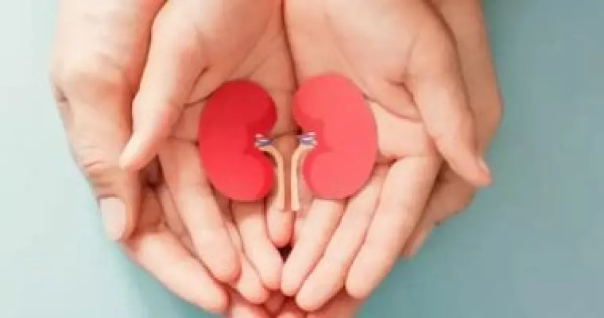5 نصائح ذهبية للحفاظ على صحة الكلى في يومها العالمي