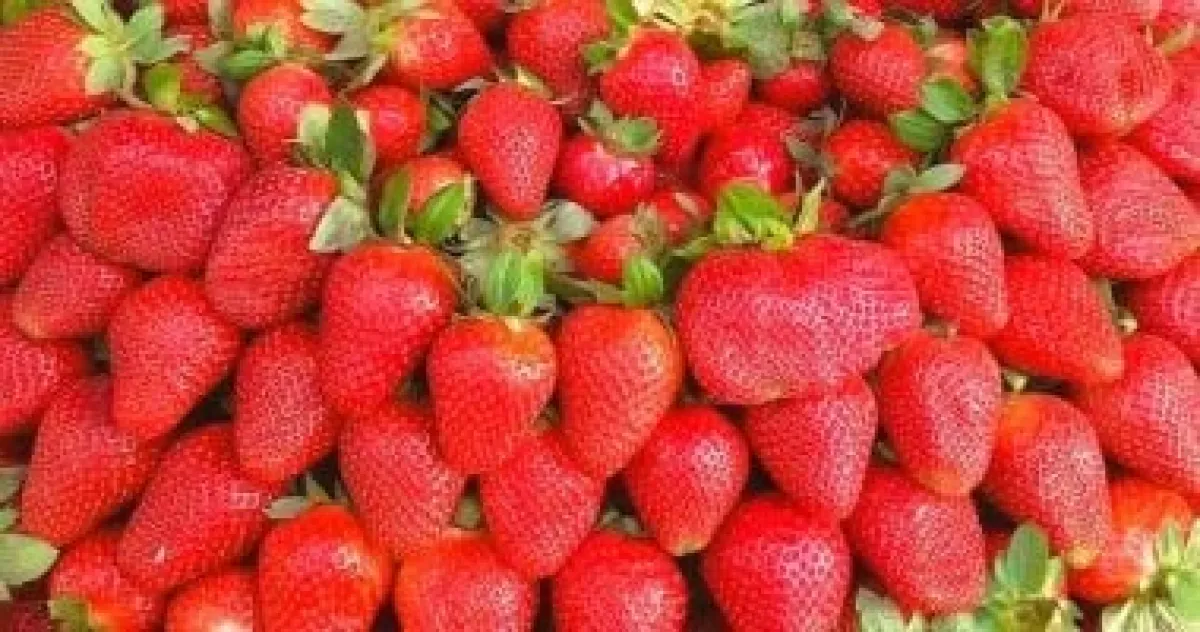 أفضل الأطعمة الخارقة لتعزيز فيتامين سي ومكافحة نقصه