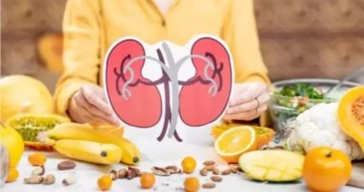 البروتين واللياقة: كيف تحمي كليتيك أثناء بناء العضلات؟