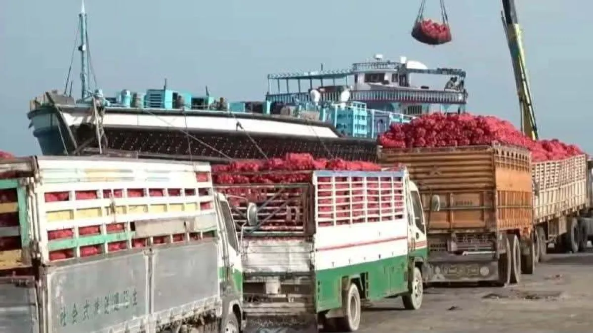 استئناف تصدير البصل من ميناء المخا بعد توقف أشهر