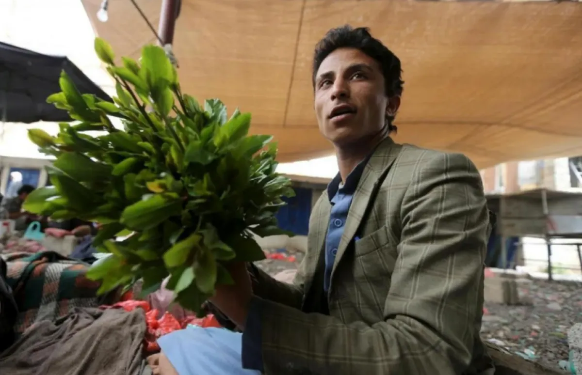 مليشيا الحوثي ترفع الجبايات على باعة القات بنسبة 400%