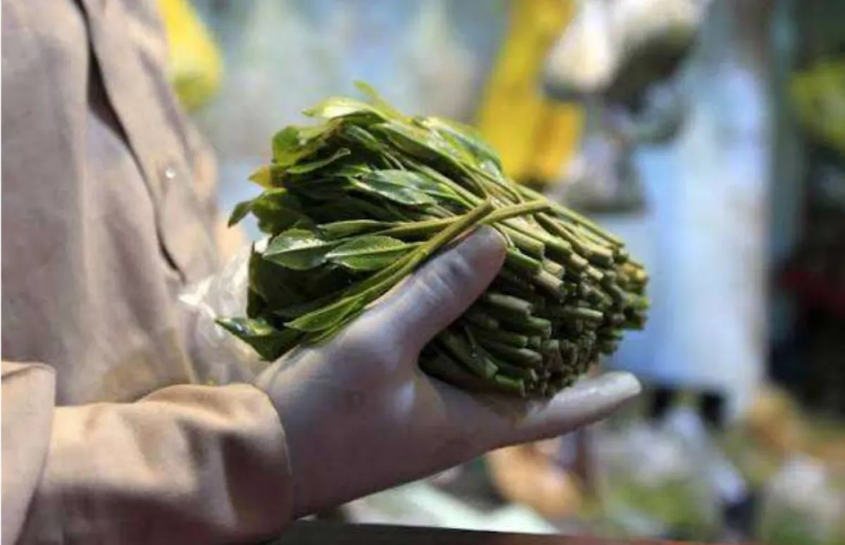 لحج .. توتر في العند بسبب رفع ضرائب القات