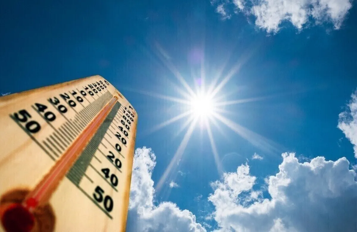 دراسة أمريكية: ارتفاع الحرارة يزيد انتشار أمراض الكلى المزمنة والفشل الكلوي