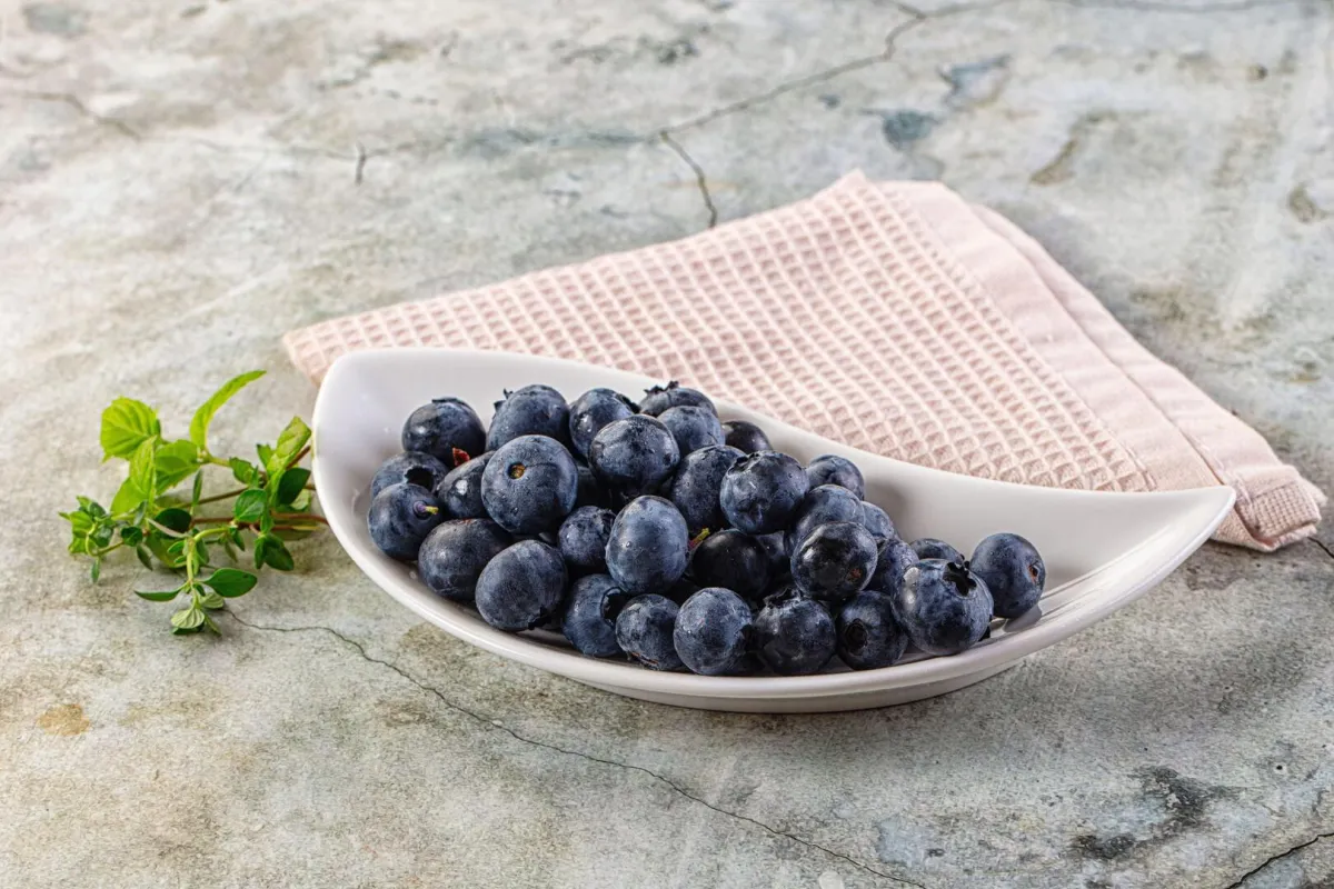 دراسة تكشف دور التوت الأزرق في تحسين استقلاب سكري الحمل عبر تعديل ميكروبات الأمعاء