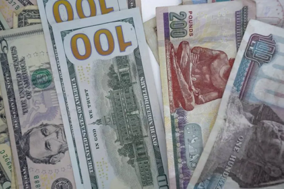 استقرار سعر الدولار مقابل الجنيه المصري وسط ترقب لخطة التنمية الاقتصادية