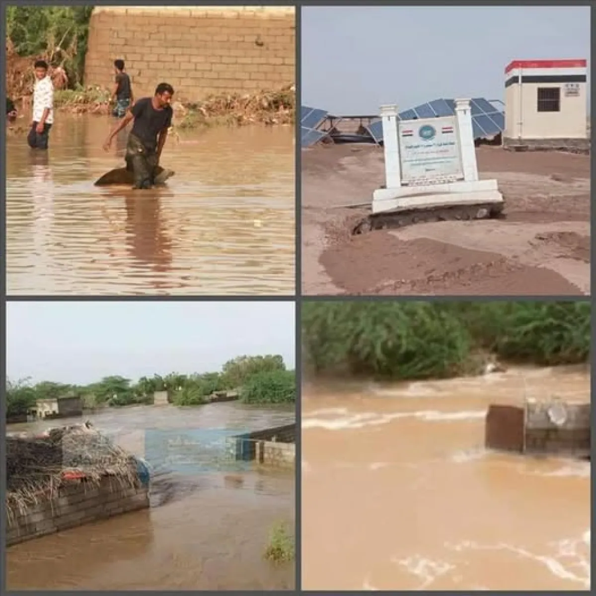 سيول جارفة تجتاح ريف المخا باليمن.. انتشال 4 ضحايا ومناشدات عاجلة