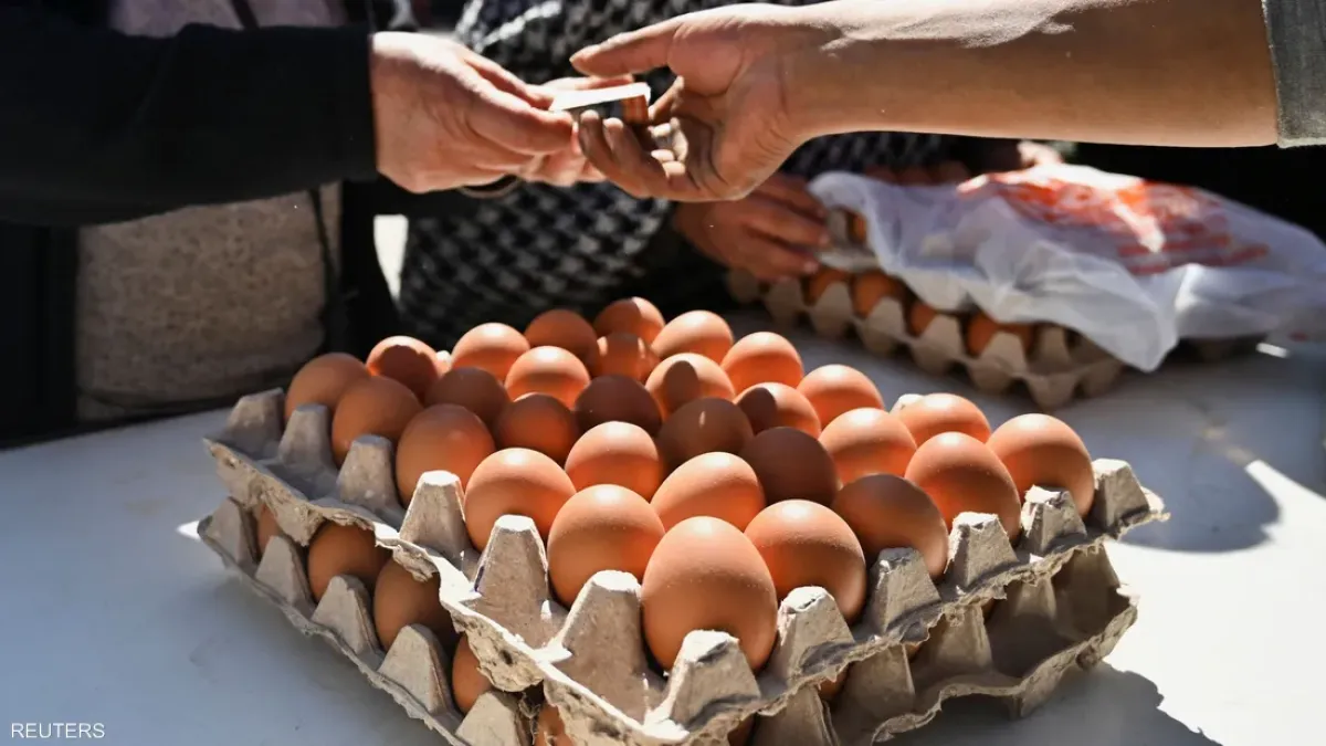 فيروس طبيعي يعطل بكتيريا السالمونيلا المقاومة للمضادات الحيوية في الأغذية