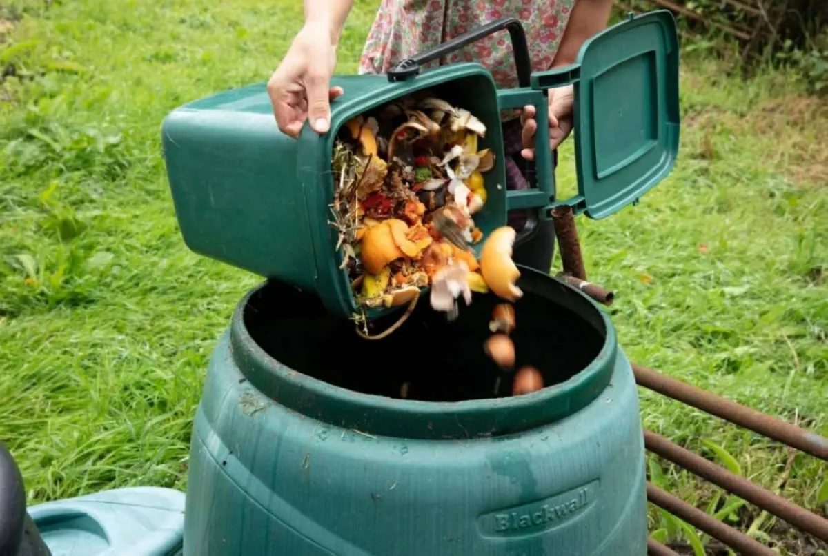 تحدي الجوع العالمي: الإنتاج متوفر.. والحل يكمن في التوزيع والتمكين