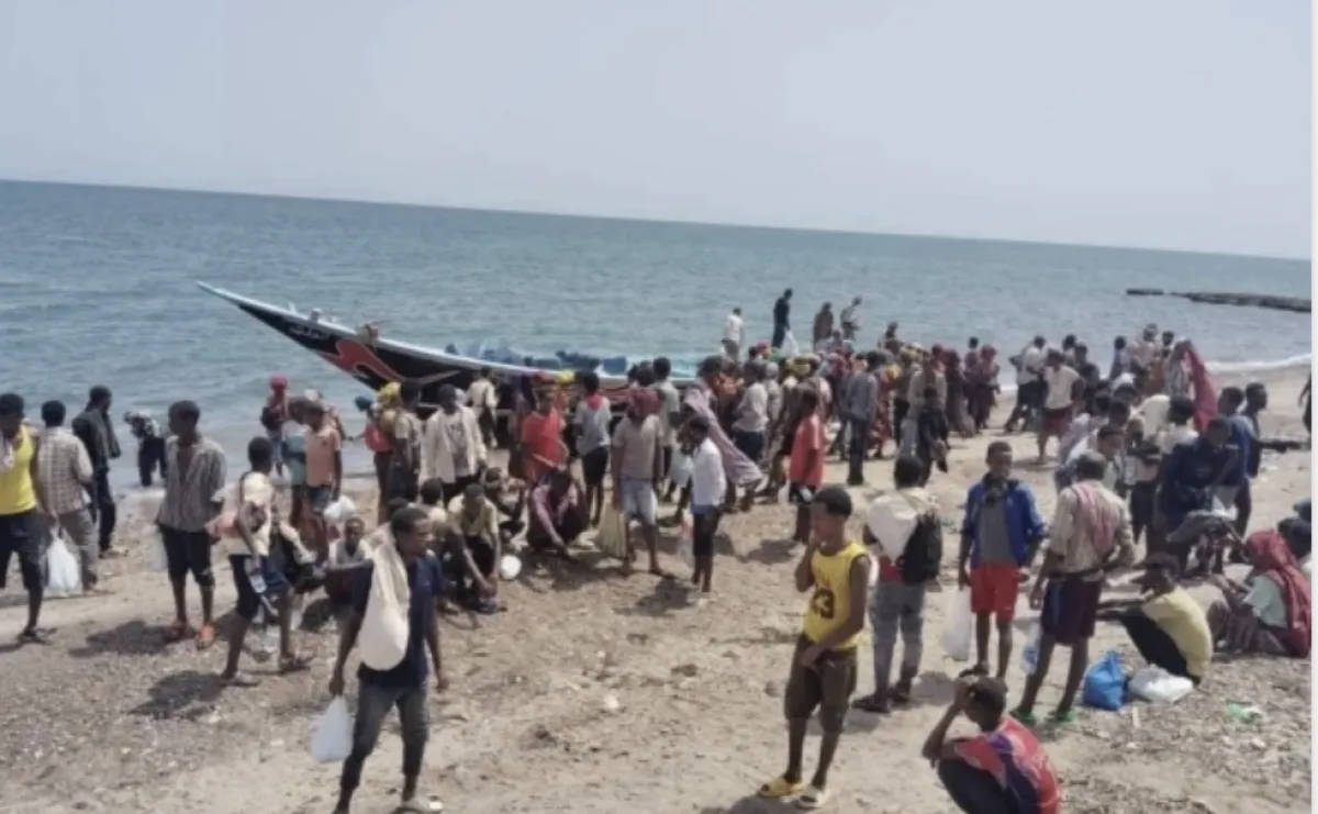 وصول 200 مهاجر غير شرعي إلى سواحل محافظة شبوة