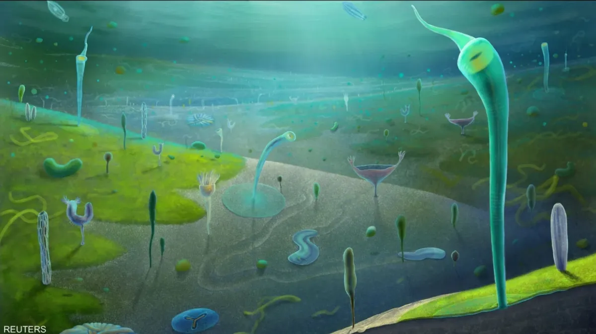 اكتشاف حفريات صينية تكشف تنوع الحياة البحرية قبل 546 مليون عام