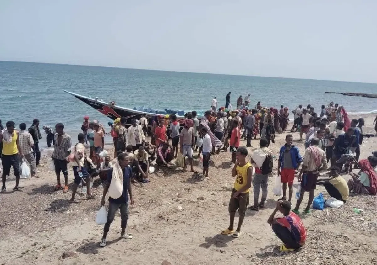 وصول مئات المهاجرين الأفارقة إلى سواحل شبوة اليمنية