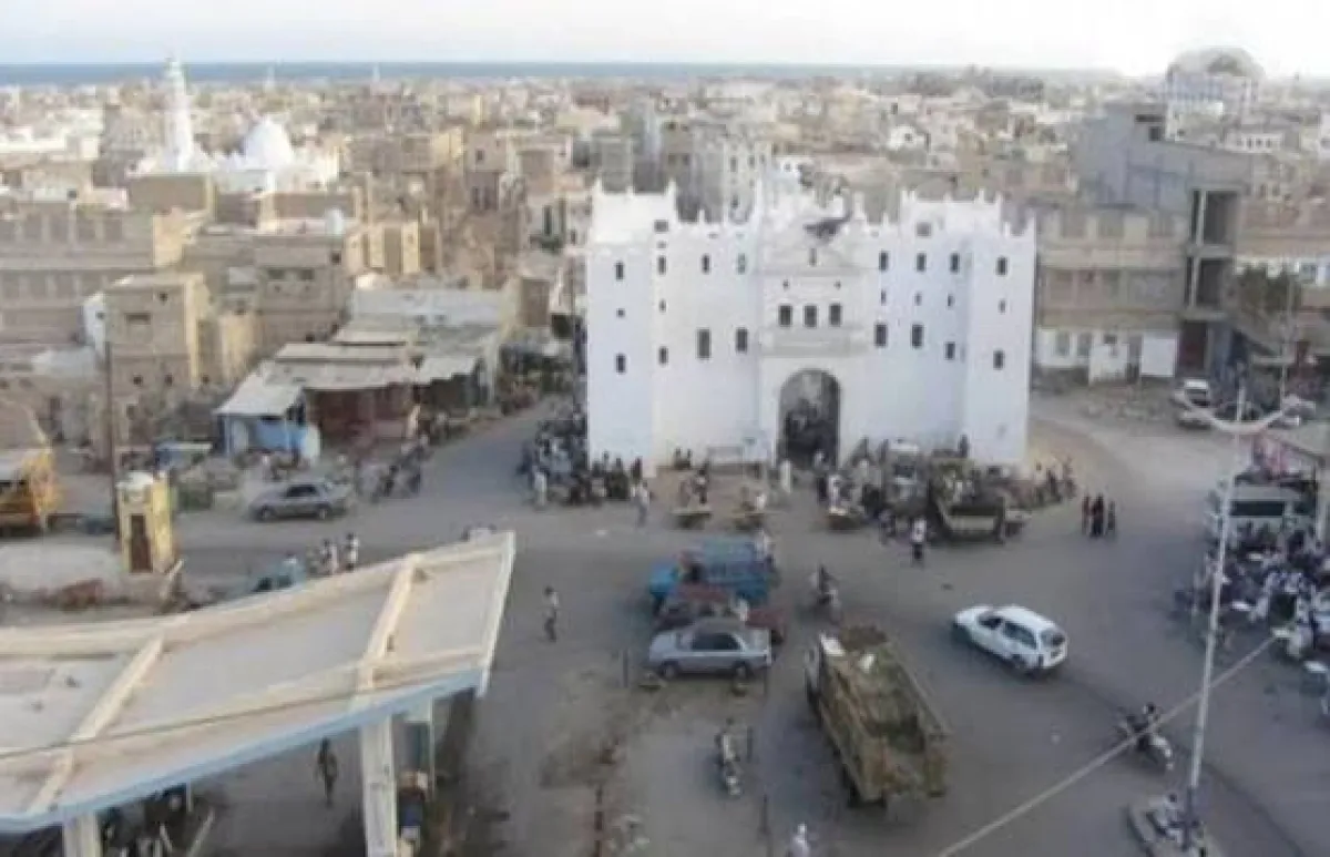 مدينة الشحر تستغيث.. «الذباب» يغزو الأحياء ومخاوف من تفشي الأوبئة