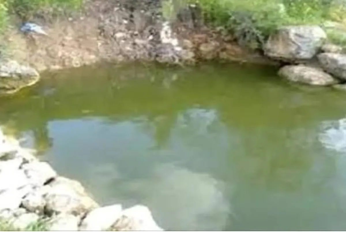 مأساة في تعز: سيدة تغرق أثناء جلب المياه من بركة