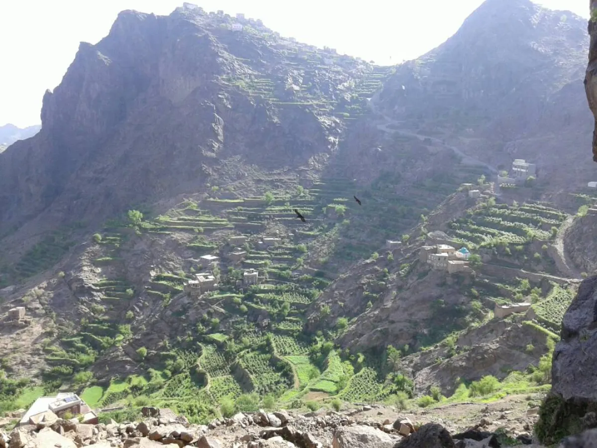 اقتتال داخلي يكشف هشاشة الحوثيين: ضحايا وخسائر في اشتباكات عنيفة بالحديدة