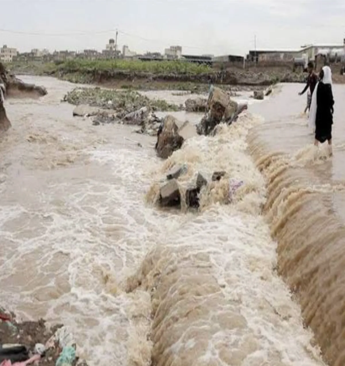 "الفاو" تحذر من أمطار غزيرة وفيضانات محتملة تهدد الزراعة في اليمن