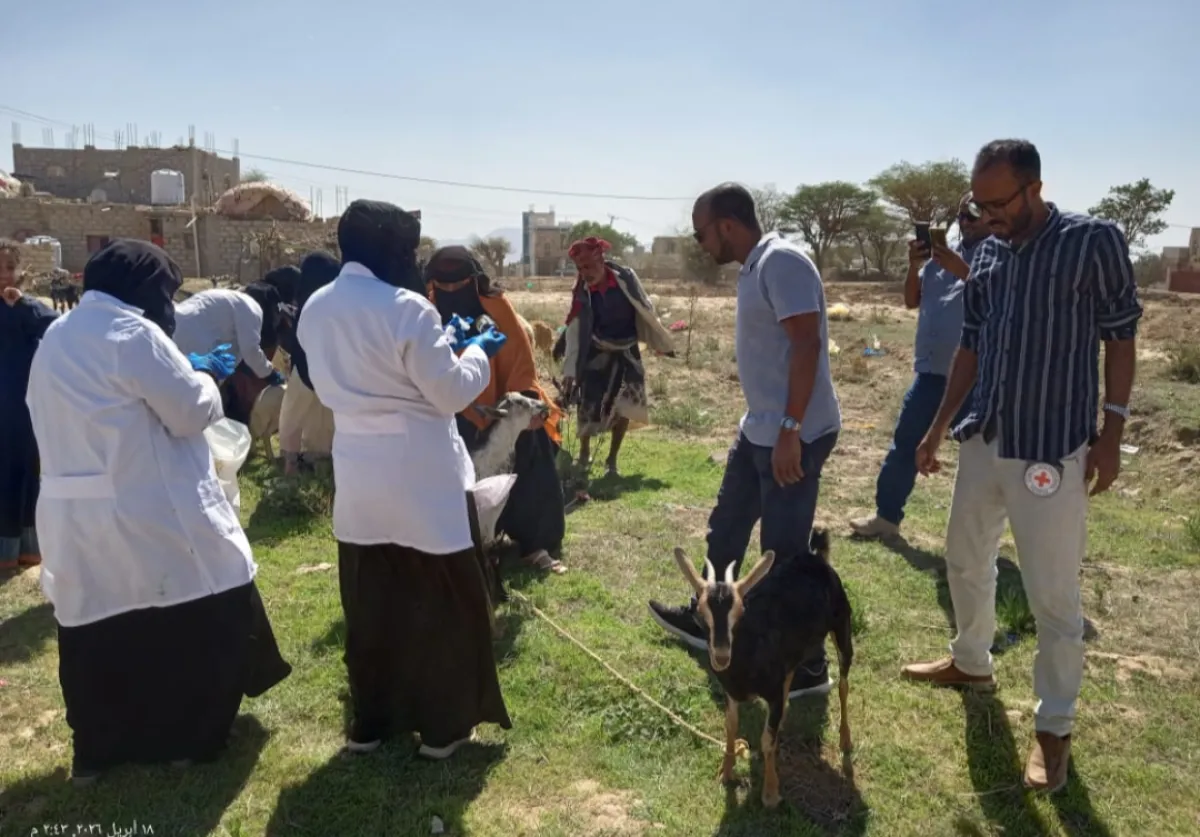 اللجنة الدولية للصليب الاحمر تزور الفرق البيطرية الميدانية وتشيد بجهود الفريق رقم (9) في مديرية الشمايتين
