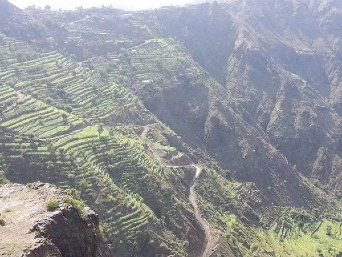 إصابة مواطنين بإطلاق نار من نقطة حوثية في تعز