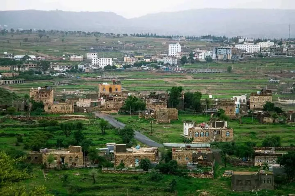 شاب يعتدي على والده بحجر في تعز وحالته الصحية حرجة