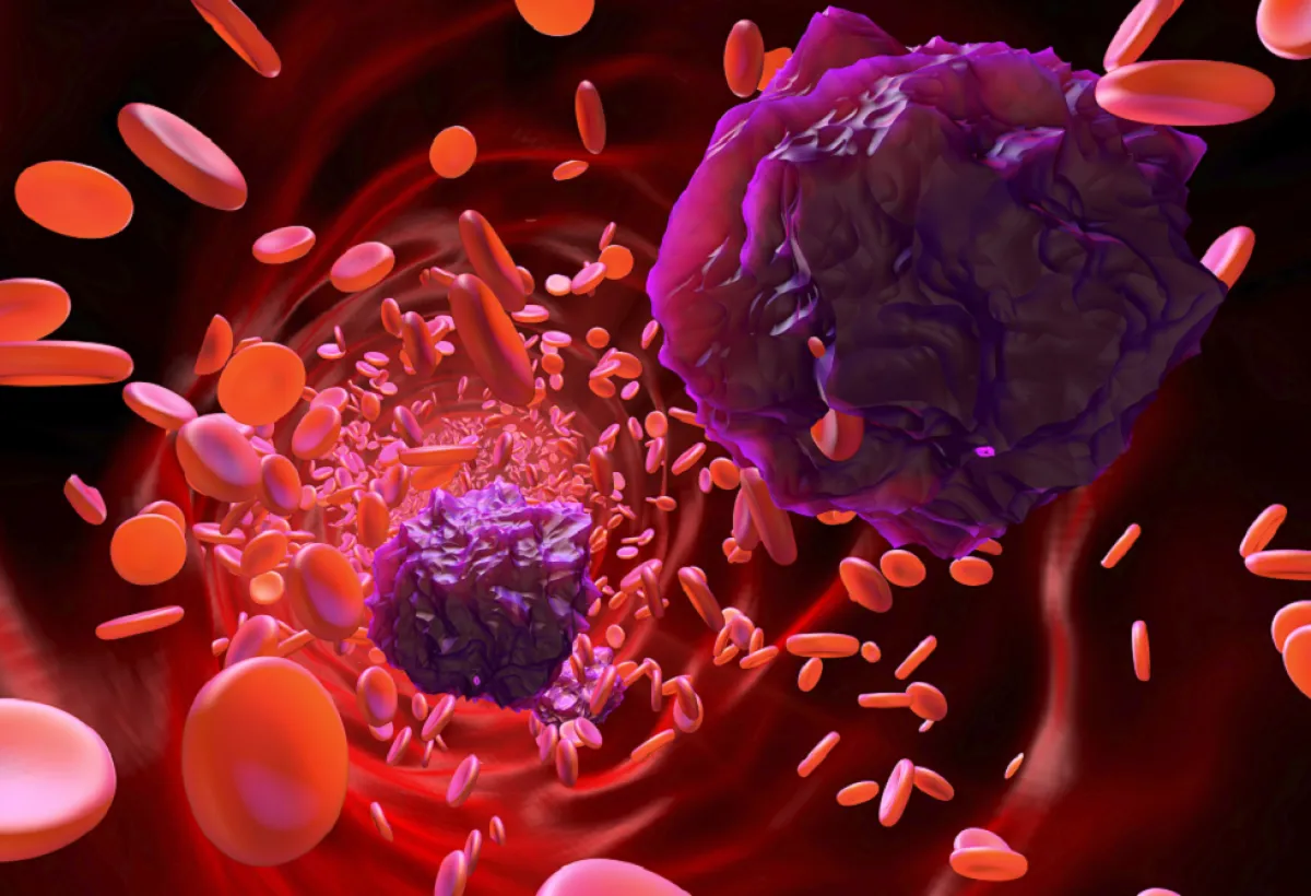 اكتشاف دواء جديد يحمي القلب ويعزز علاج السرطان