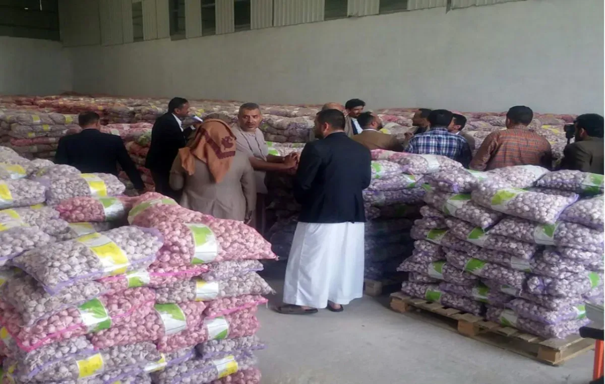 مليشيا الحوثي تفرض إجراءات تعسفية تسببت بكساد المحاصيل الزراعية في صنعاء