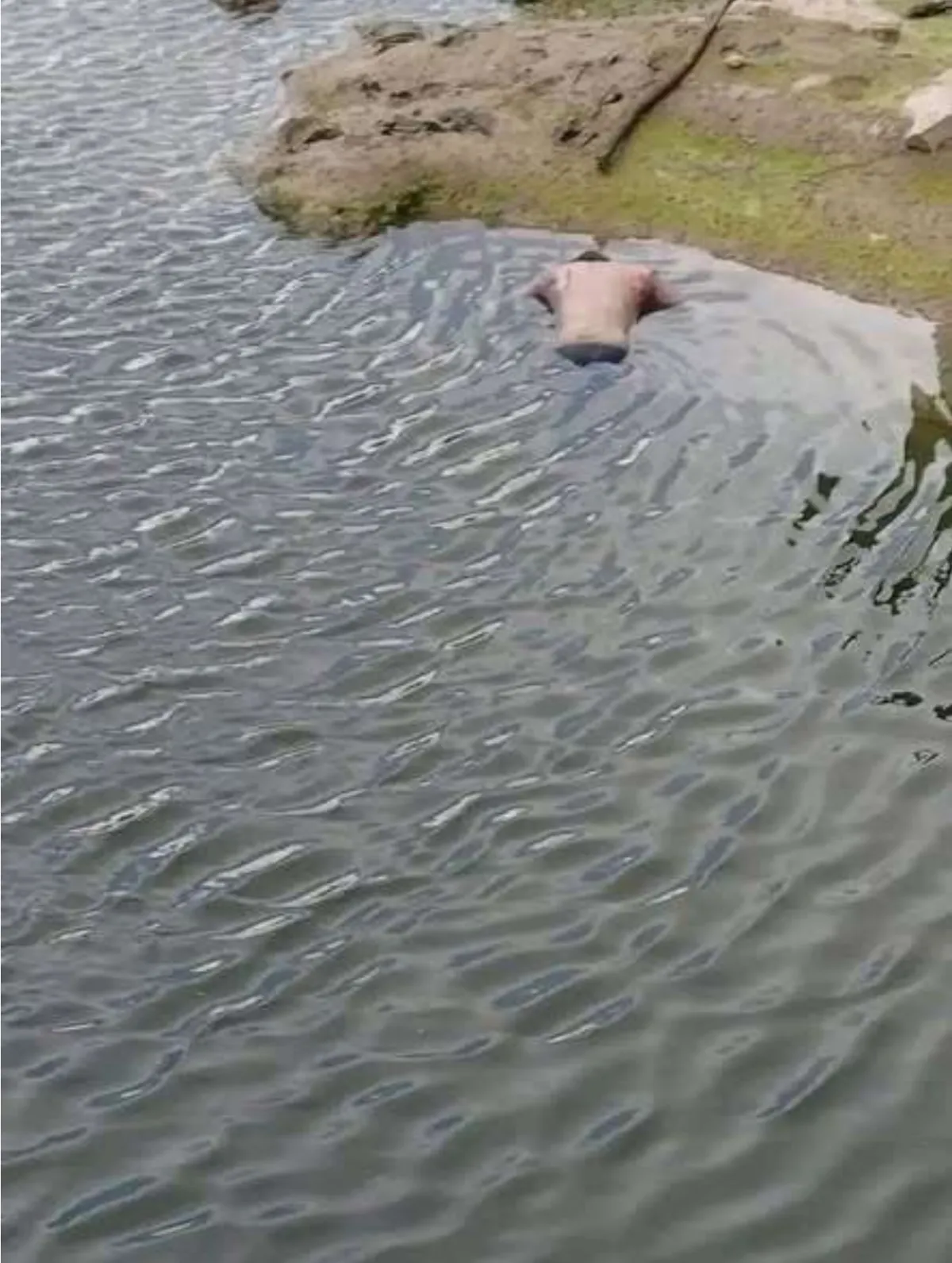 العثور على جثتي شابين مجهولي الهوية داخل سد في مديرية حوث بمحافظة عمران وسط ترجيحات بالغرق