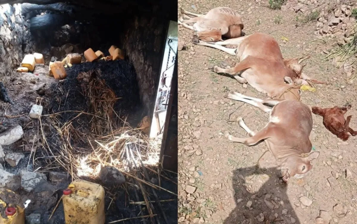 خسائر مادية ونفوق مواشٍ اثر حريق هائل في أحد المنازل بريف تعز