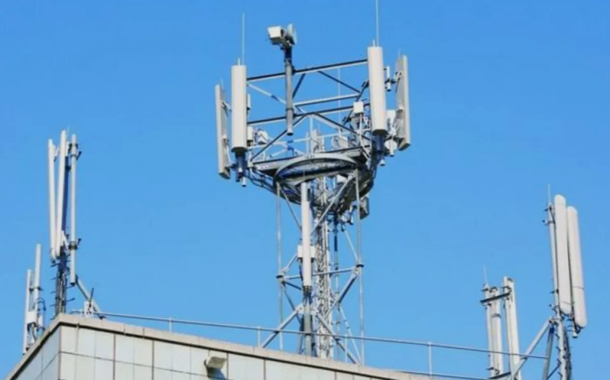 مناشدات لضبط متهمين بسرقة كابلات الاتصالات في ريف تعز