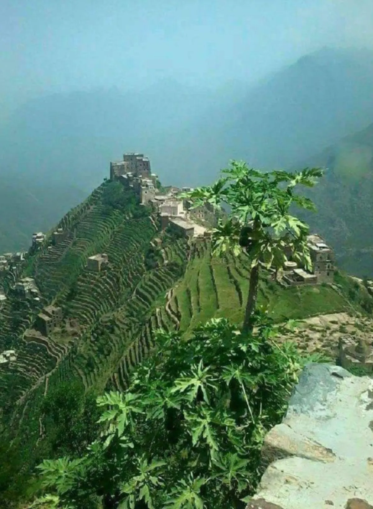 مقتل 9 أشخاص بانقلاب شاحنة في ريمة