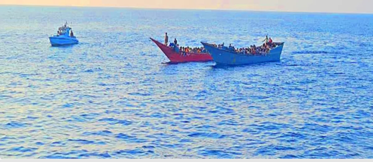 إحباط عملية تهريب مهاجرين غير شرعيين عبر خليج عدن