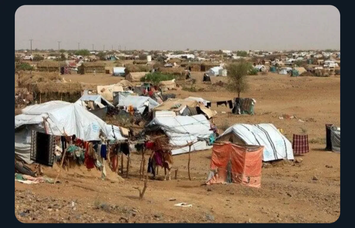الهجرة الدولية: أكثر من 5 آلاف نازح جديد في اليمن خلال أربعة أشهر