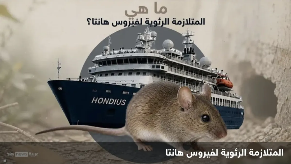 الصحة العالمية: احتمال انتقال فيروس هانتا بين الركاب على متن سفينة سياحية