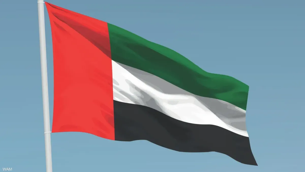 الإمارات تؤسس لجنة وطنية لتوثيق العدوان والجرائم الدولية