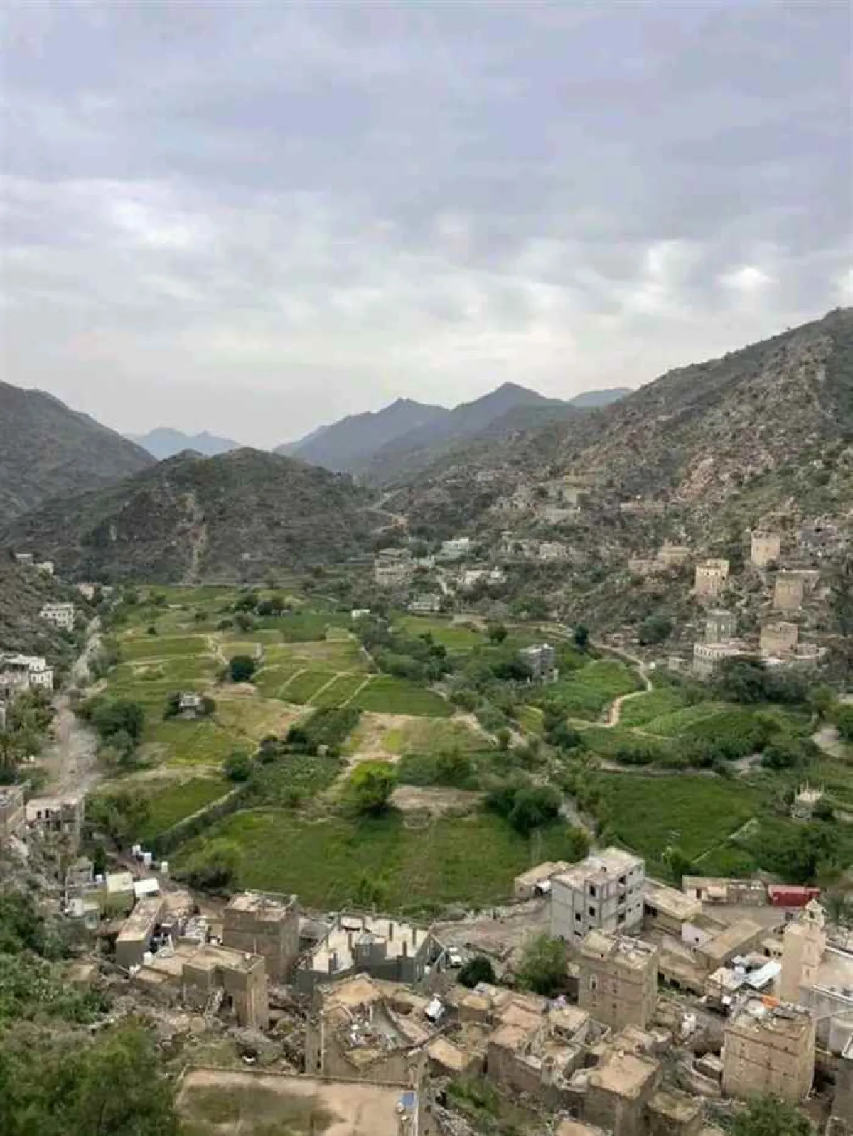 حريق غامض يلتهم حظيرة أغنام ويشعل غضب الأهالي في الضالع